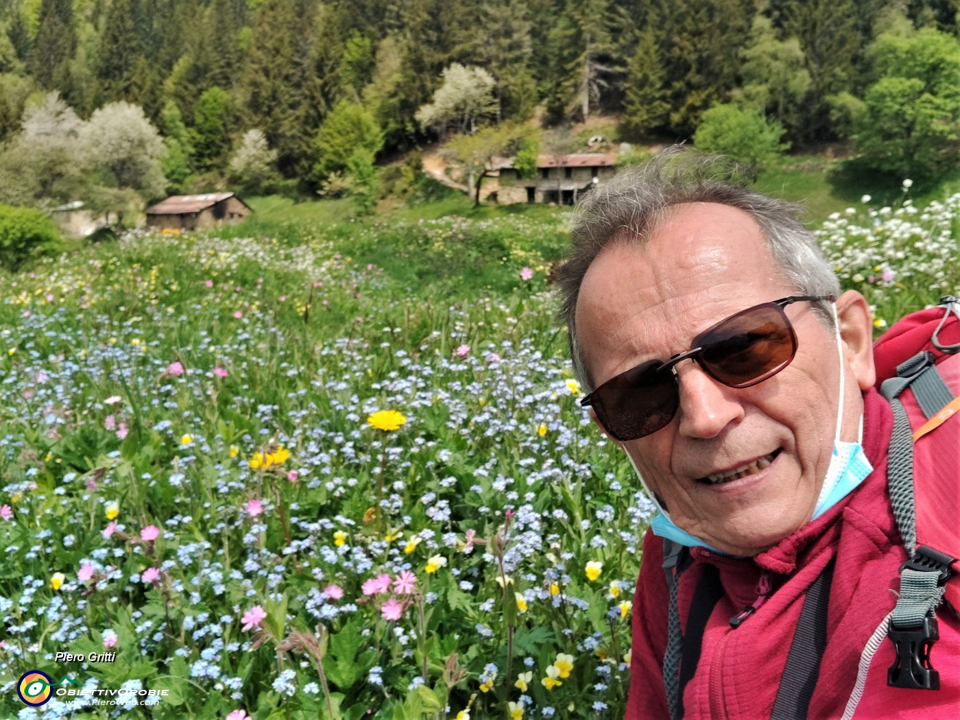 67 ed io mi godo lo spettacolo dei fiori multicolori.jpg